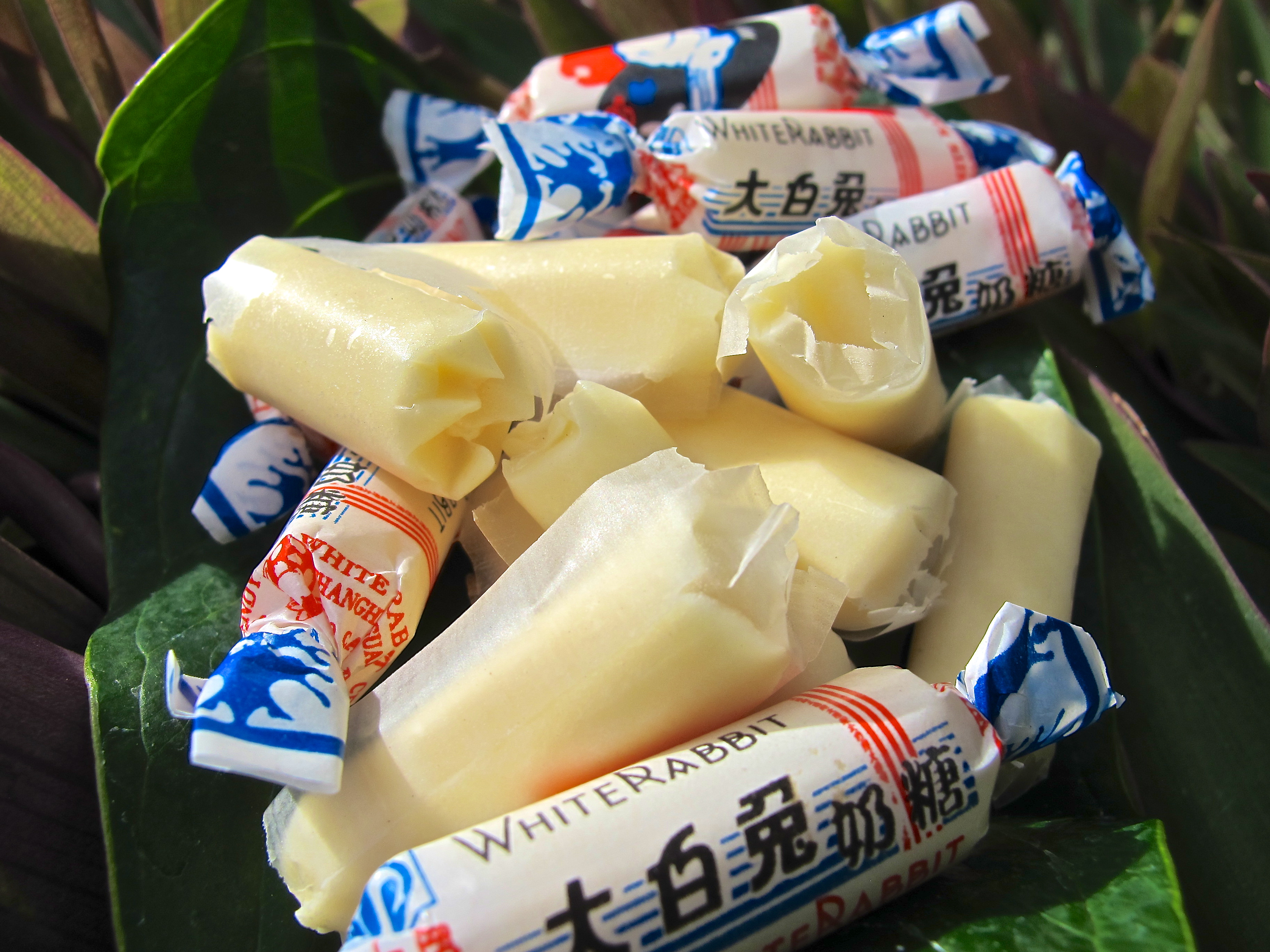 White Rabbit Creamy Candy Aloha Gourmet Products Inc 